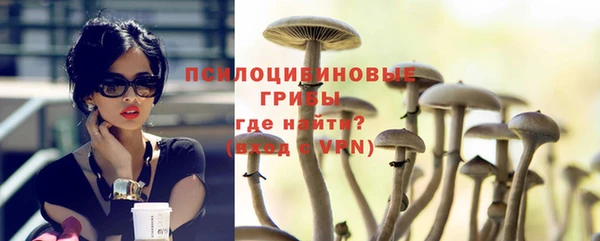 амф Балахна